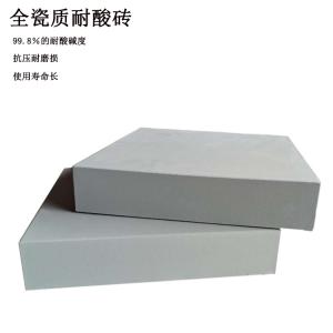 300*65mm 加厚防腐耐酸砖